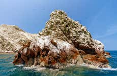 Ballestas Islands & Paracas National Reserve Day Trip
