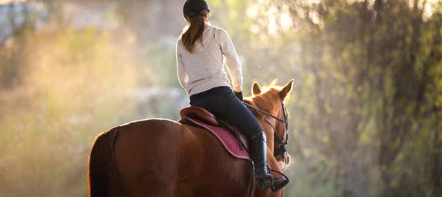 Passeggiata a cavallo alla tenuta La Caravedo