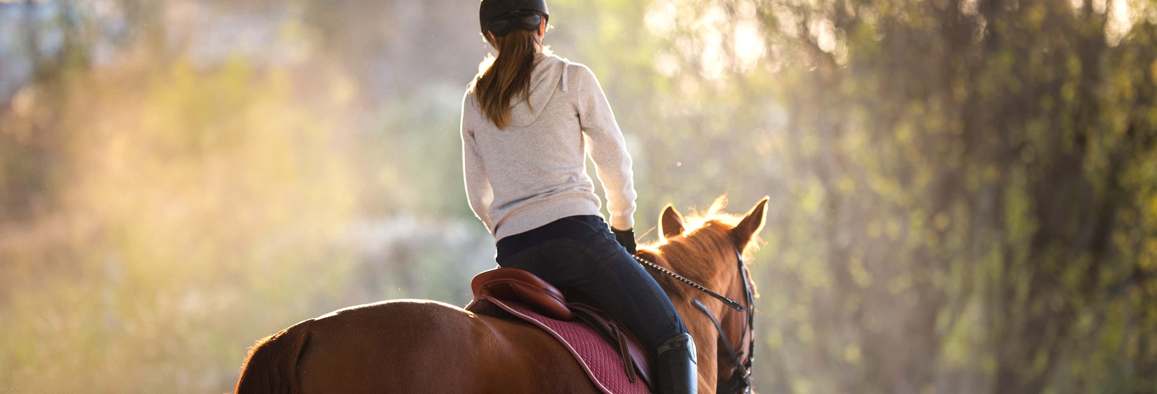 Passeggiata a cavallo alla tenuta La Caravedo