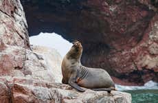 Ica & Paracas 2-Day Tour
