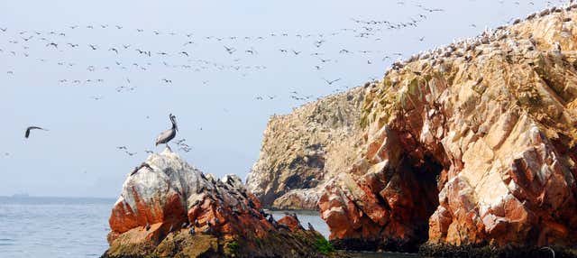 Tour di 3 giorni a Nazca, Ica e Paracas