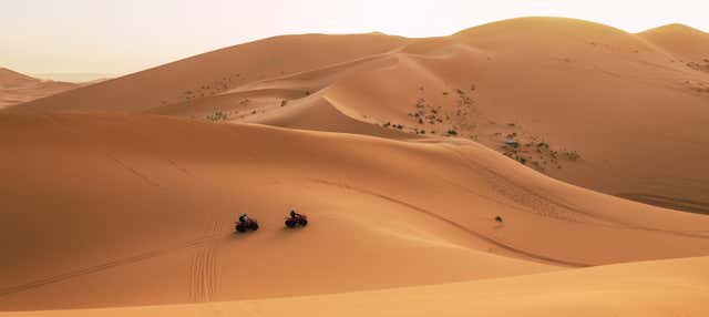 Tour del deserto di Ica in quad
