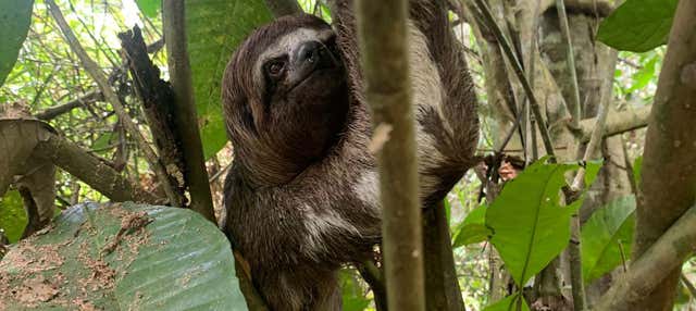 Safari sul Rio delle Amazzoni