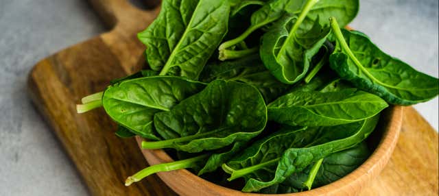 Cerimonia dell'Ayahuasca a Iquitos