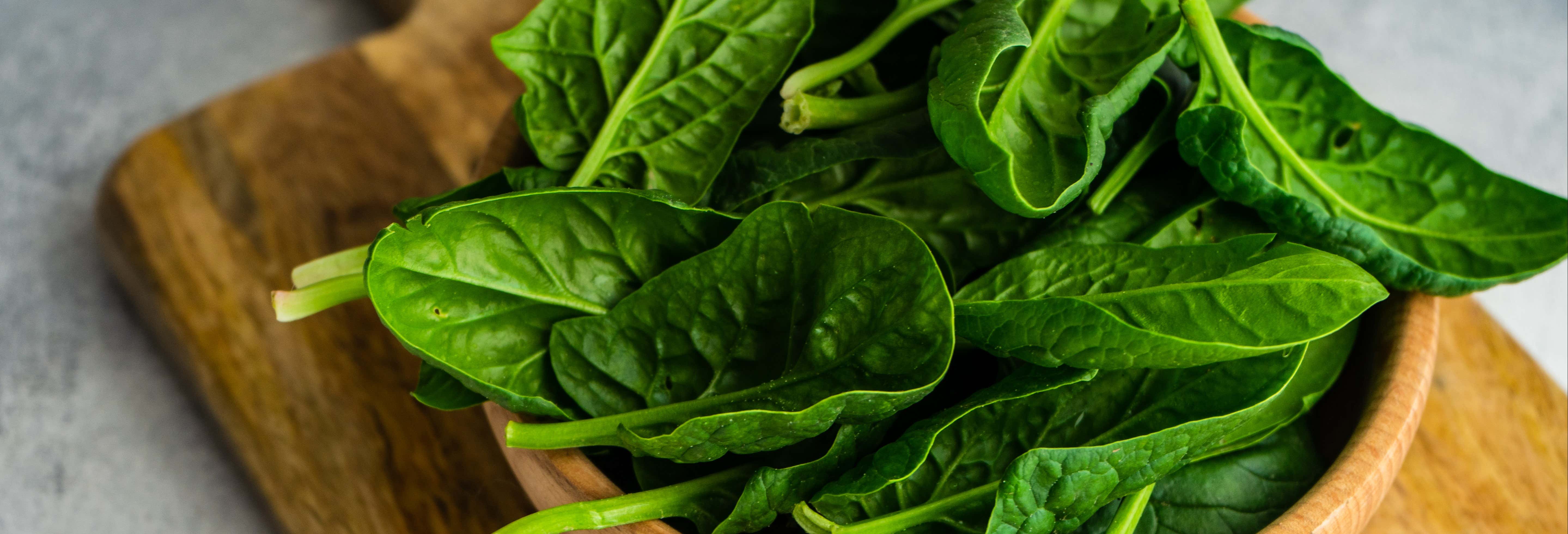 Cerimonia dell'Ayahuasca a Iquitos