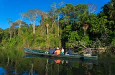 Amazon, Nanay & Momon Rivers Excursion