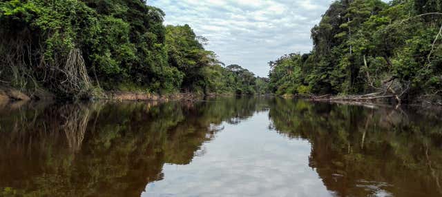 Escursione a Pacaya Samiria