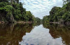 Pacaya Samiria Day Trip