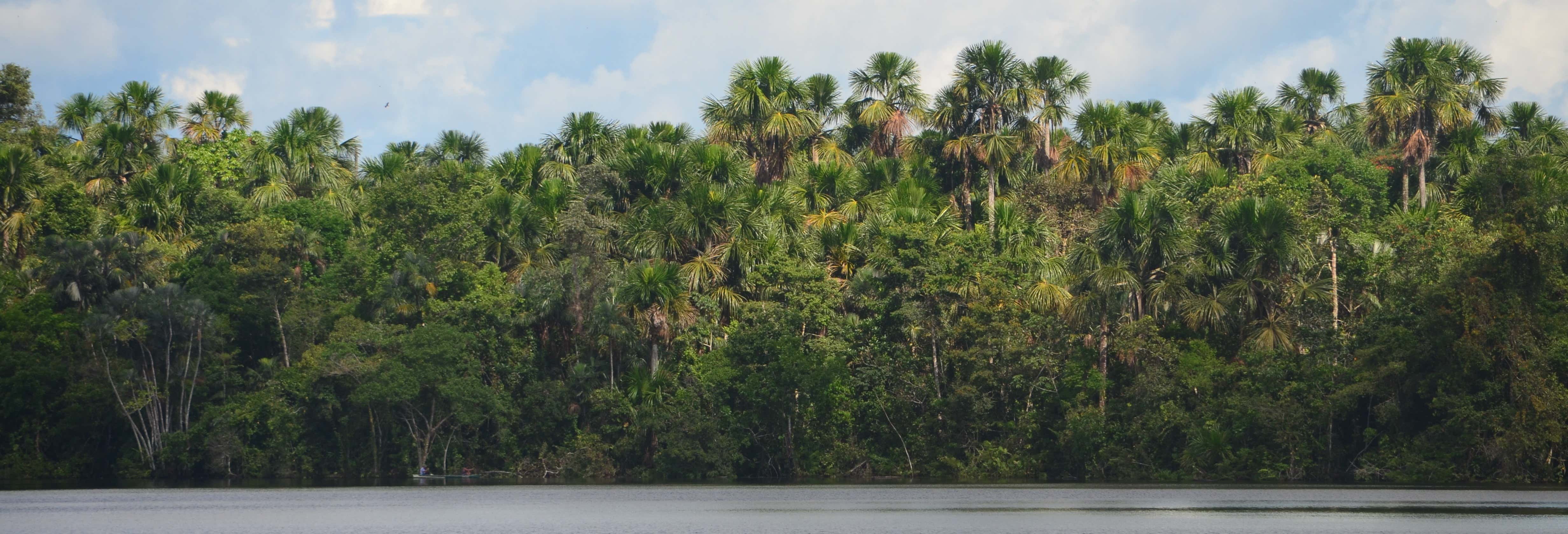 Amazon River Trip