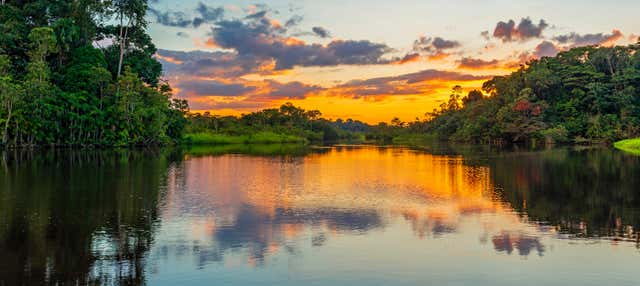 Giro in barca sul Rio delle Amazzoni e sul fiume Itaya