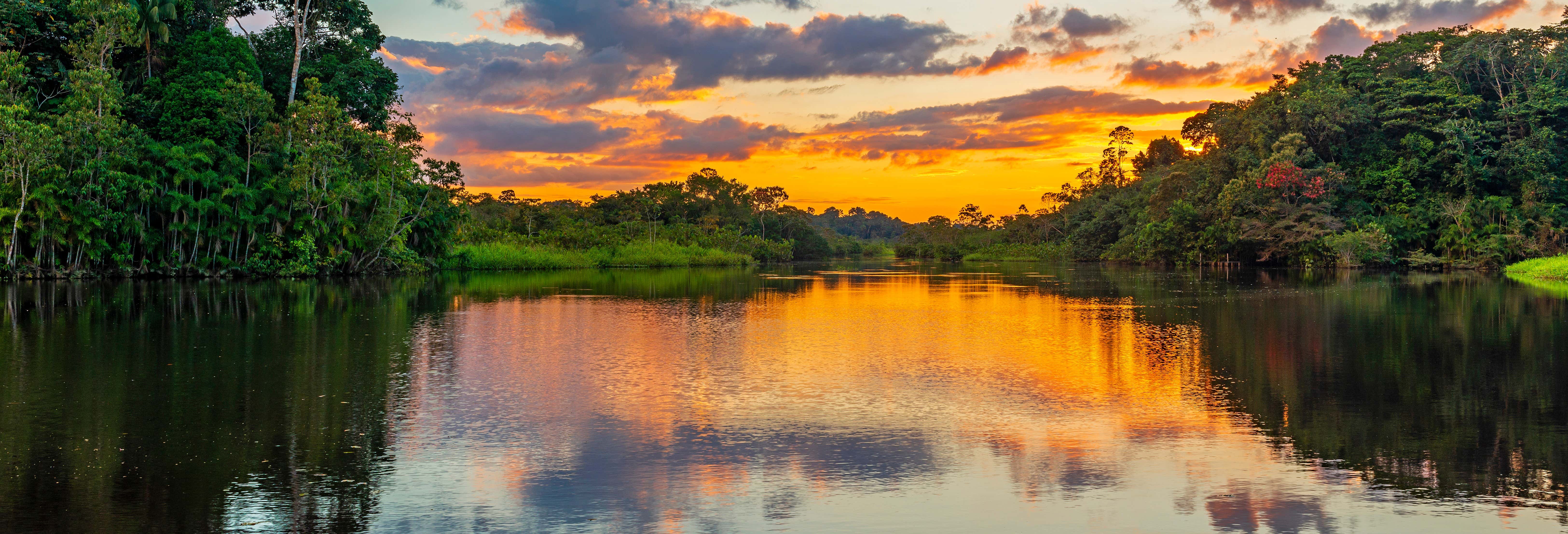 Amazon + Itaya Rivers Boat Tour