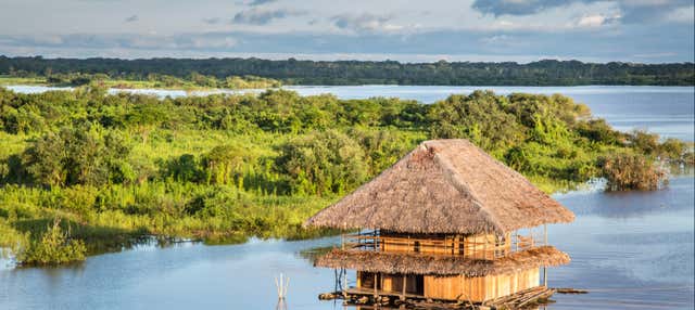 Tour del Rio delle Amazzoni in 2 giorni