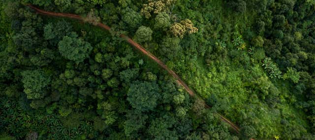 Tour di 4 giorni nel nord del Rio delle Amazzoni