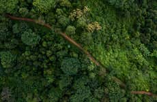 4-Day Amazon River Cruise