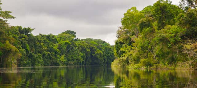 Tour di 3 o 4 giorni a Pacaya Samiria