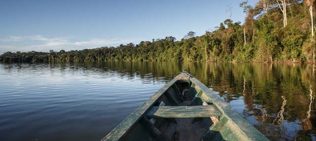 Tour del nord del Rio delle Amazzoni in 5 giorni