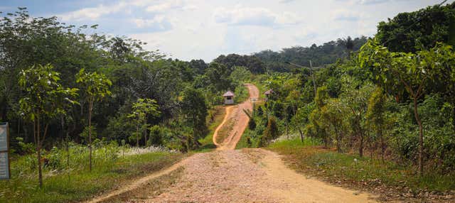 Tour di avventura a Iquitos