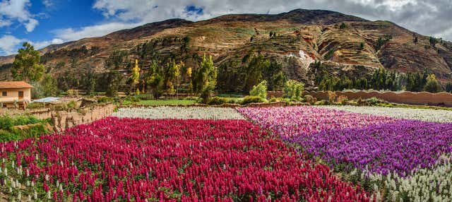 Escursione a Tarma e alle cascate di Chanchamayo