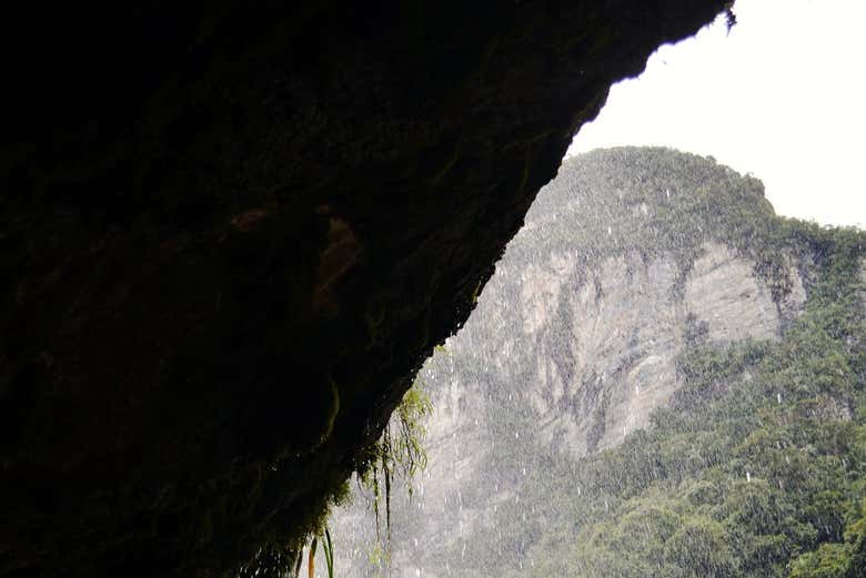 Imagen 4