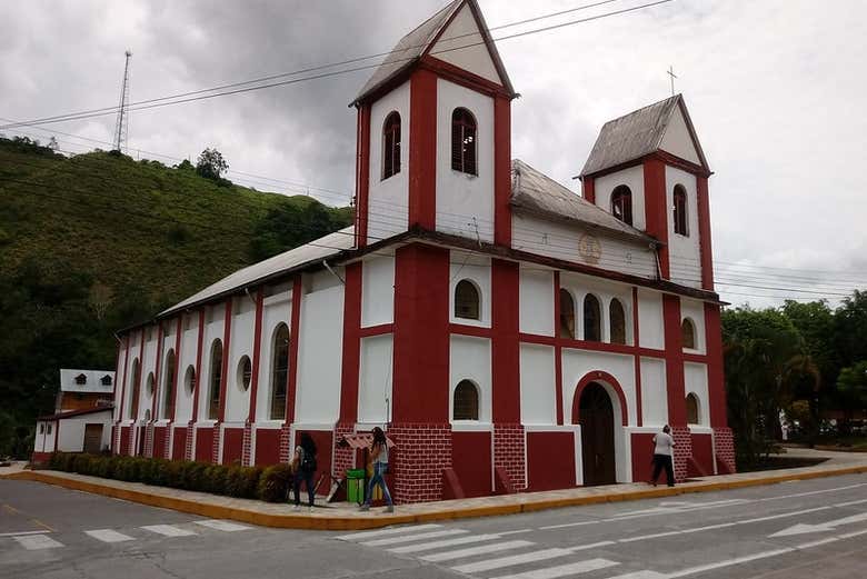 Imagen 6