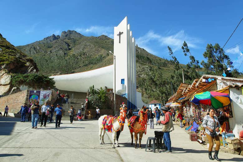 Imagen 6