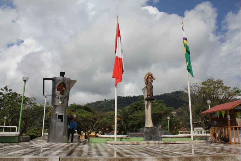 Imagen 5