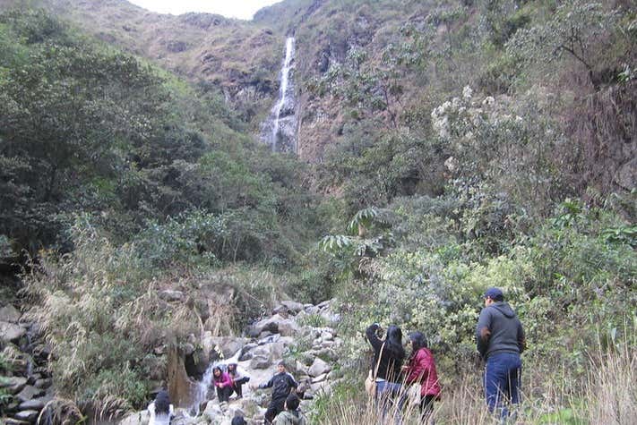 Imagen 3