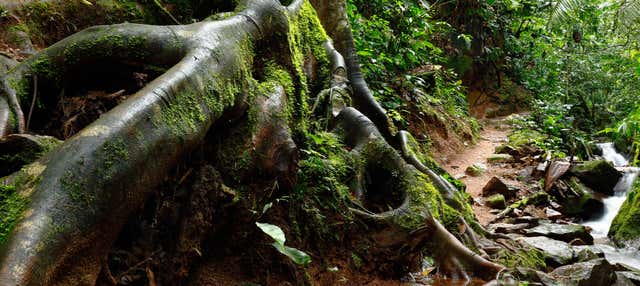 Trekking sul Sentiero di Indiana Jones