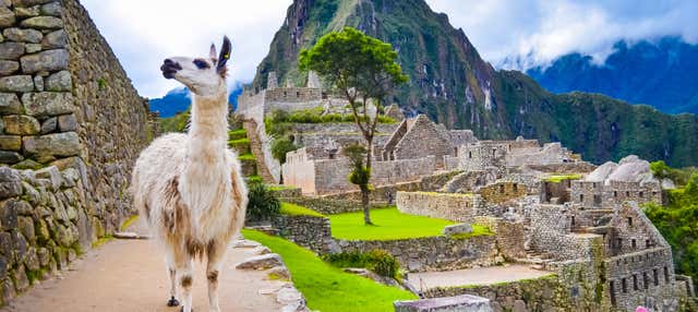 Circuito di 7 giorni in Perù