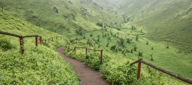 Escursione a Huaral e alle colline di Lachay