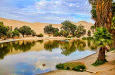 Ica & Huacachina + Ballestas Islands Small-Group Day Trip