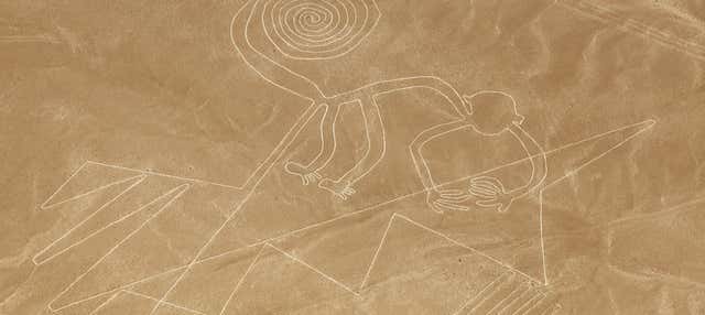 Escursione alle isole Ballestas e Huacachina + Volo sulle Linee di Nazca