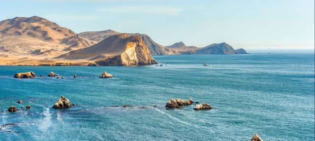 Excursión a Paracas y Huacachina