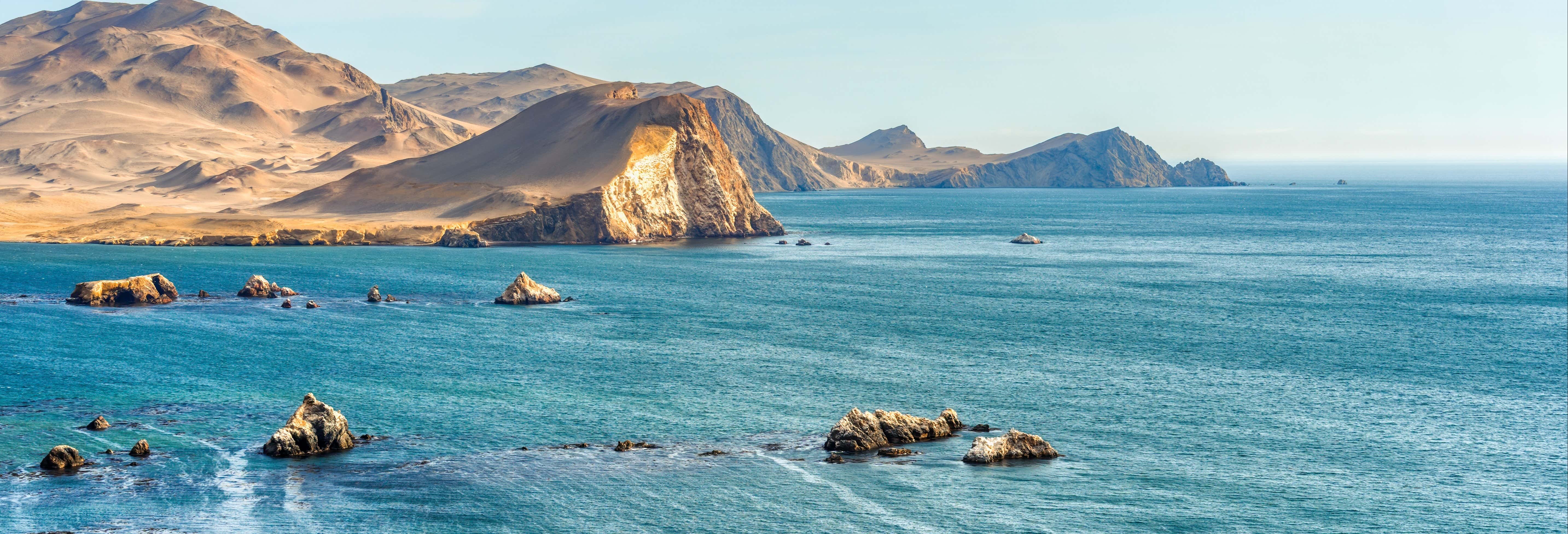 Excursión a Paracas y Huacachina