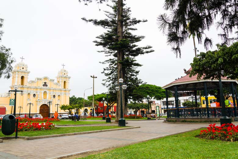 Imagen 8