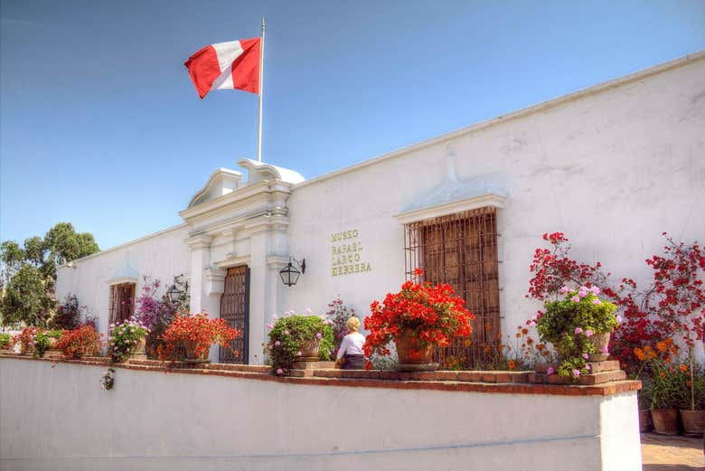 Imagen 8