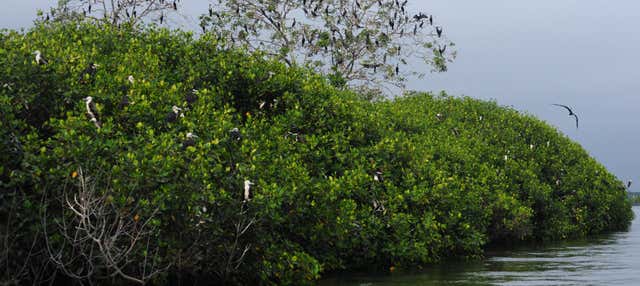 Escursione alle mangrovie di Tumbes e alle spiagge di Punta Sal e Zorritos