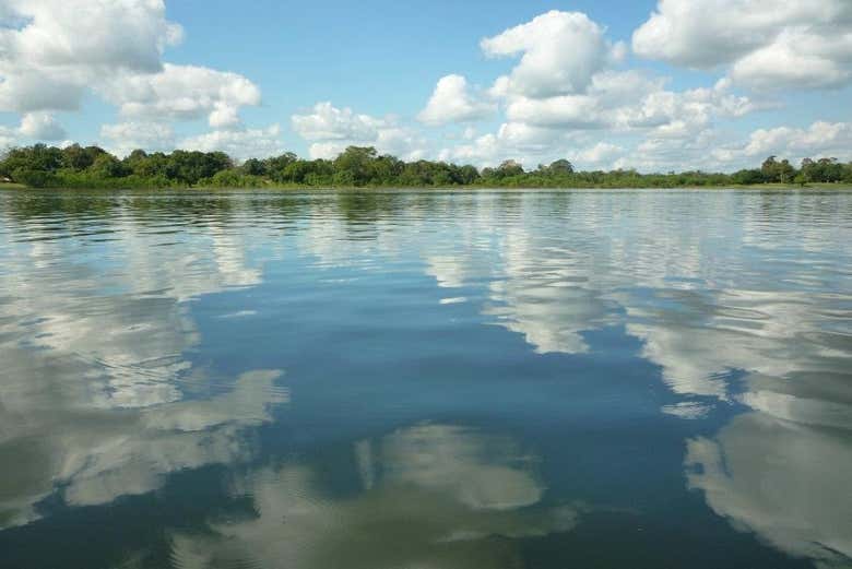 Imagen 10
