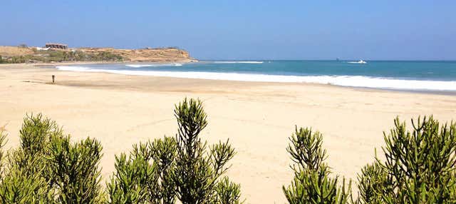 Tour di 4 giorni a Tumbes e Máncora