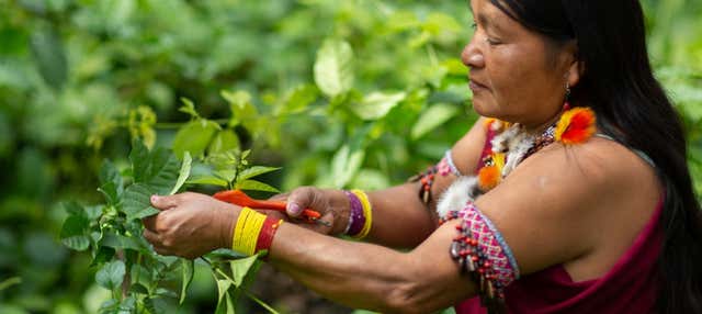 Excursión privada a la comunidad de Shampuyacu