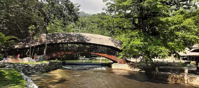 Escursione privata alla riserva di Santa Elena + Sorgente del fiume Tioyacu