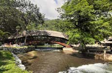 Excursão privada à reserva Santa Elena + Nascente do rio Tioyacu