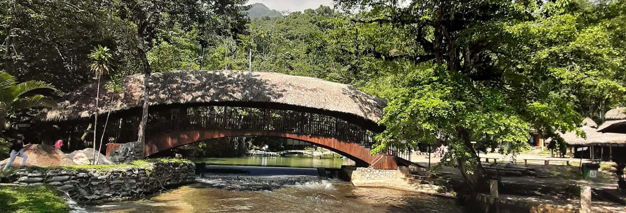 Santa Elena Reserve + Tioyacu River Private Tour