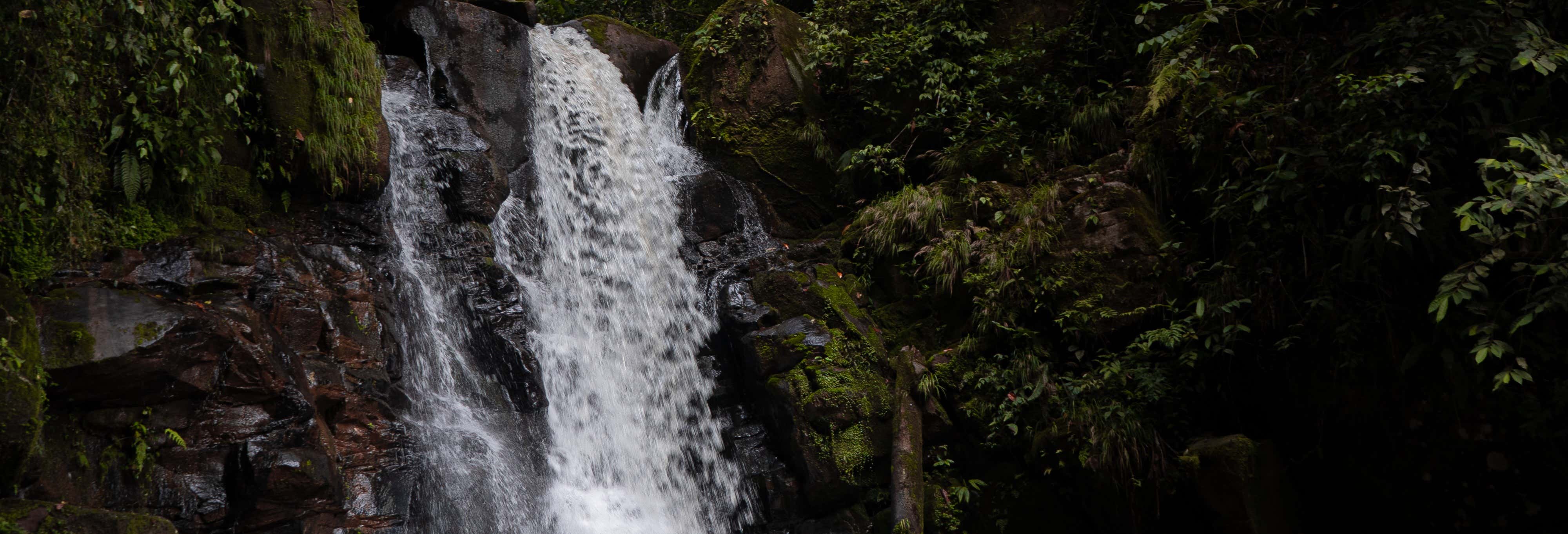 Aguas Calientes Waterfall Private Hiking Tour