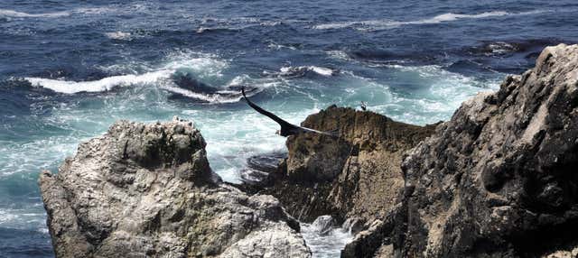 Escursione alla baia di San Fernando + Sandboarding a Nazca
