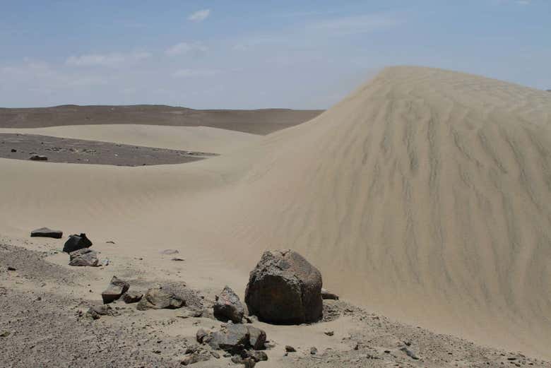 Imagen 5