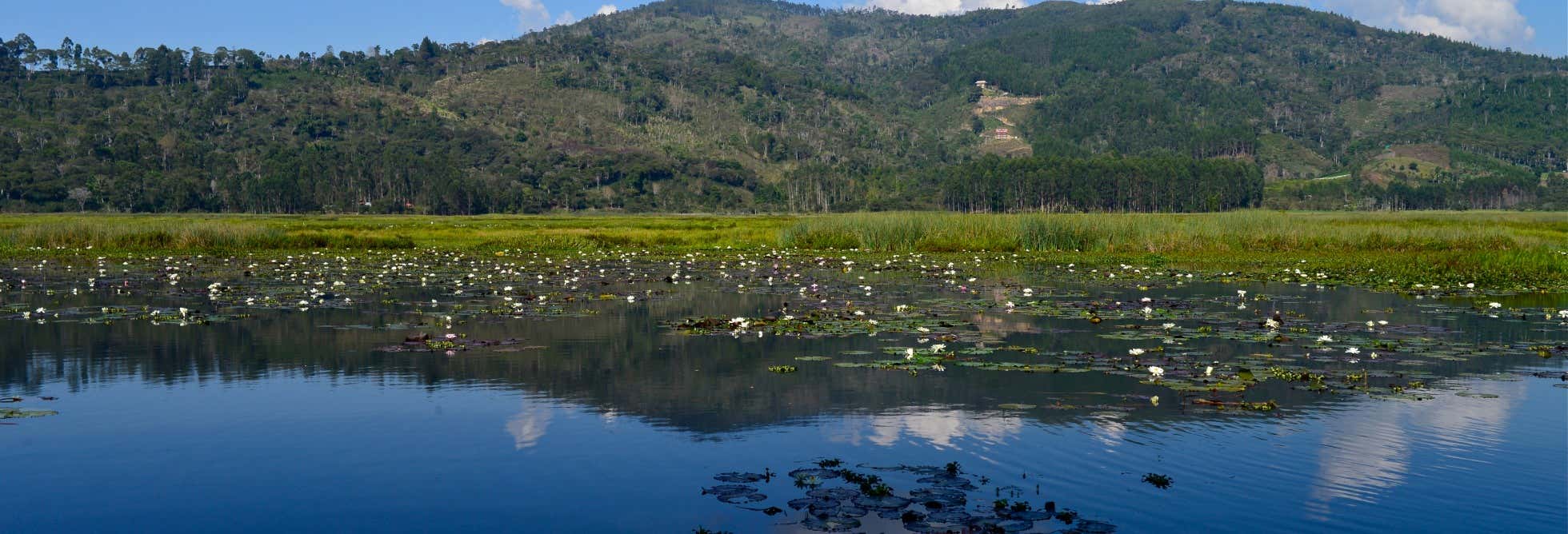 Excursión a Villa Rica