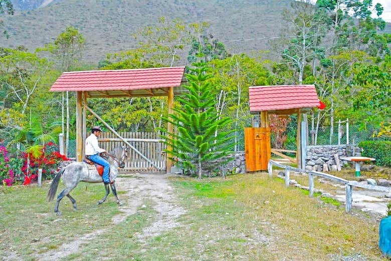 Imagen 5