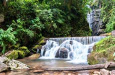 Tigre River Waterfall Tour