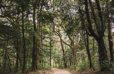 Yanachaga Chemillén National Park Hike